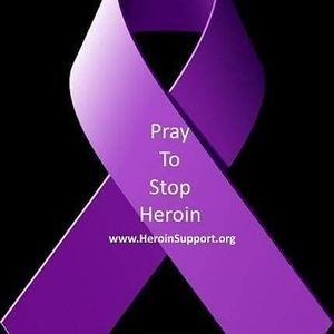 Meet your Posher, Lj